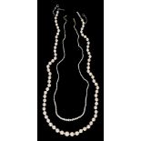 A cultured pearl necklace,  the single row of 4-8mm cultured pearls with engraved white gold box