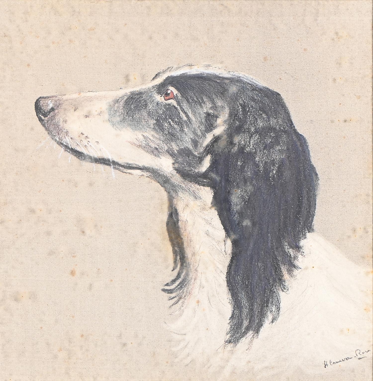 Hugh Adam Cameron-Rose (1909-1937) - Portraits of Spaniels and a Terrier, a set of three, all - Image 7 of 8