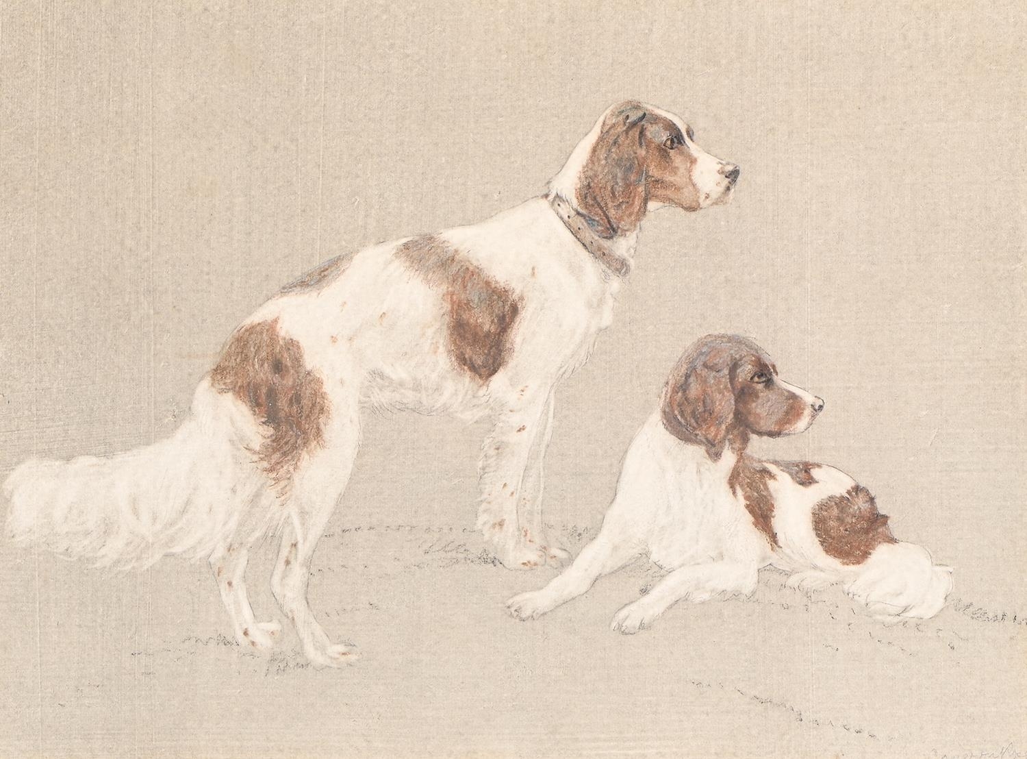 Hugh Adam Cameron-Rose (1909-1937) - Portraits of Spaniels and a Terrier, a set of three, all