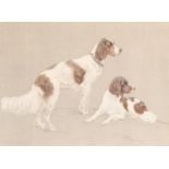 Hugh Adam Cameron-Rose (1909-1937) - Portraits of Spaniels and a Terrier, a set of three, all