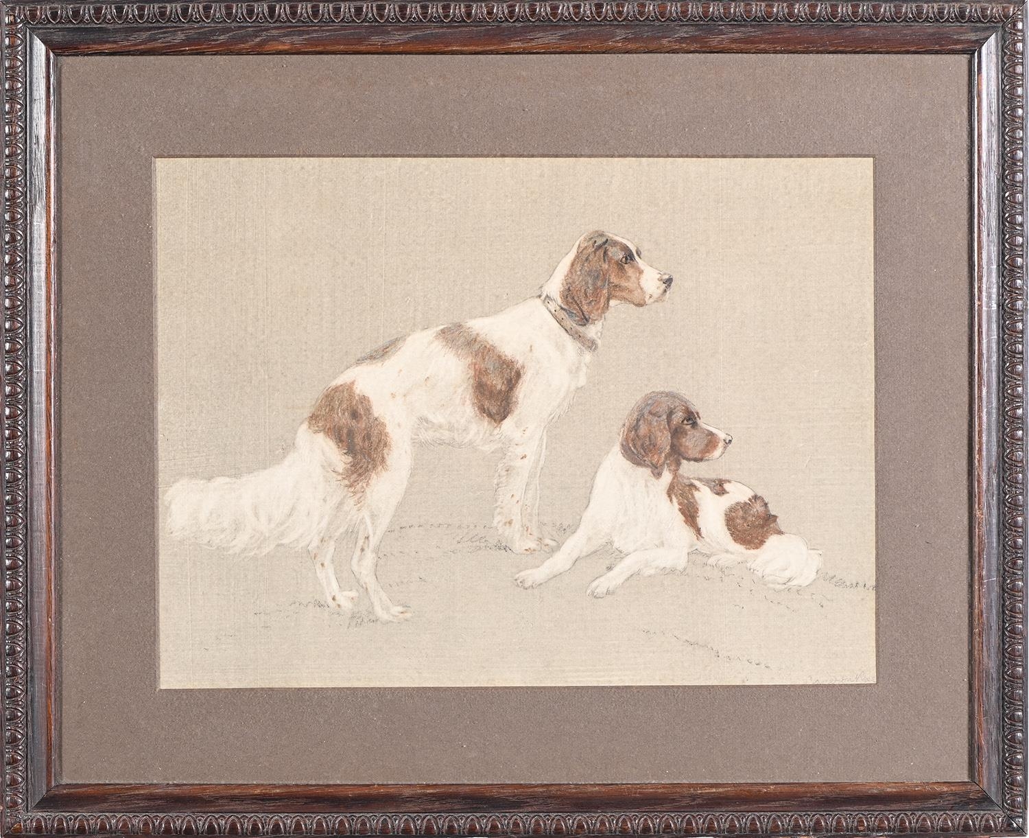 Hugh Adam Cameron-Rose (1909-1937) - Portraits of Spaniels and a Terrier, a set of three, all - Image 2 of 8