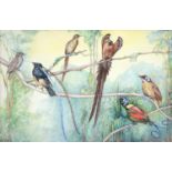 British School, 20th c - Australian Tropical Birds, monogrammed and dated 8 '72, inscribed label