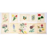 English School, early 19th c, Botanical subjects,  nine, one signed Marion Palin, another initialled