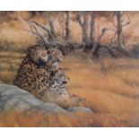 Spencer Hodge (1943 - ) - Three Leopards, signed and numbered 378/500 in pencil by the artist,