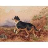 Charles Edward Brittan (1870 - 1949) - Study of a Hound in a River, signed, watercolour, 17cm x 21.