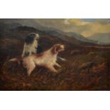 A. Levinson, 19th/20th c - Gun Dogs, signed, oil on canvas, 39.5cm x 59.5cm  Discolouration and