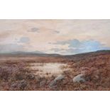 Frederick Tucker (1860-1935) - A Cumbrian Bog, signed, watercolour, 47.5 x 74cm Localised white re-