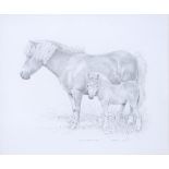 Patrick A Oxenham (1922-1996) - Shetland Mare and Foal, signed and inscribed, pencil, 30 x 36.5cm