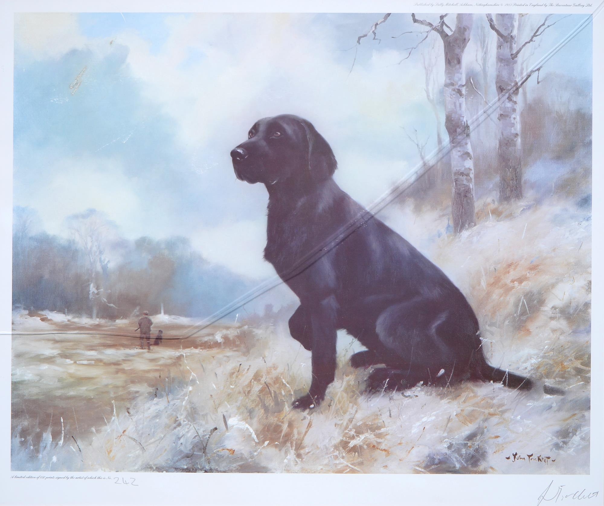 Pictures and Prints. Holloway, 20th c - Tara, portrait of a Labrador, signed and titled, pastel, - Image 4 of 9