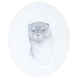 Patrick A Oxenham (1922-1996) - Otter, signed and inscribed, pencil, oval, 30cm Good condition