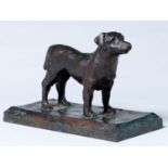 Peter James Wild (1933-2015) - Dog, bronze, signed with initials (PW) and dated '07, rich brown