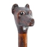 A cane with carved and dark stained dog's head pommel,  steel tip, 92.5cm l Good condition
