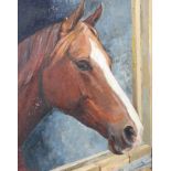 EV Edwards (British, 20th Century), portrait of a chesnut horse, oil on board, signed lower left,