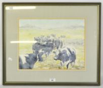 A contemporary watercolour painting, Diana Williams, depicting a herd of calves, signed,