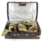 Four vintage fur stoles in a suitcase,