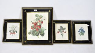 Group of four framed fruit prints, 20th century,