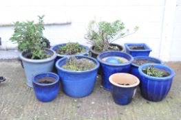 A collection of 10 glazed plant pots, 9 being blue,
