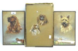 Three early 20th century pastel portraits depicting dogs