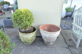 Two large terracotta plant pots, one by Barbary,