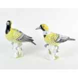 A pair of Crown Staffordshire ceramic Bonana Birds by M Doubell Miller,