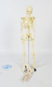 A vintage replica skeleton on stand, 82cm high,