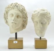 Two 20th century busts depcting classical figures, one of a man, the other a lady,