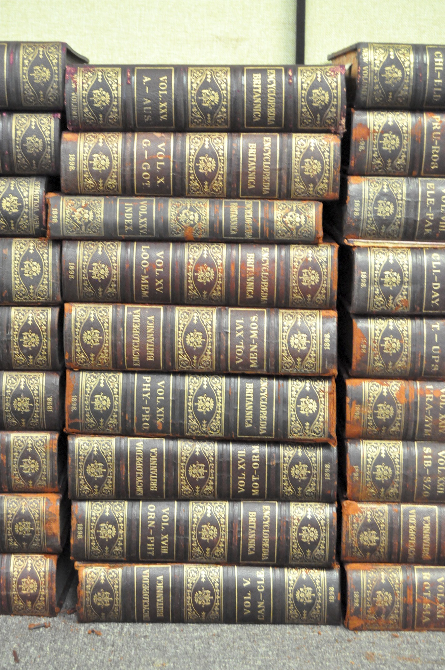 A large selection of 19th century volumes of 'Encyclopedia Britannia', - Image 3 of 5