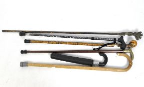 A collection of walking sticks,