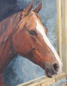 EV Edwards (British, 20th Century), portrait of a chestnut horse, oil on board, signed lower left,