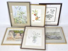 Six contemporary watercolours and prints featuring botanical subjects and landscapes,