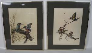 A pair of Edwin Penny signed coloured ornithological prints, both depicting British birds,