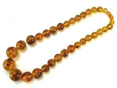 A string of amber graduating beads A 30cm drop length necklace. Largest approx 30mm.