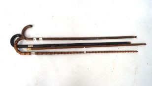 A group of three silver collered walking sticks and another,