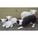 A collection of modern plastic models of sheep and a Border Collie,