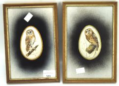 Two decorative wall plaques depicting owls, both mounted in gilt frames