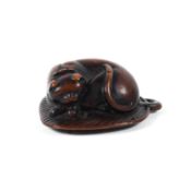 A 19th wood netsuke of a cat curled up on a fan, length 4.