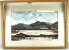 David Haswell, mixed media painting of 'The Snowdon Panorama',