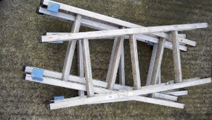 Two small extendable ladders,