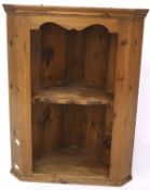 A 20th century pine corner cabinet, with single fixed shelf, within moulded rims,