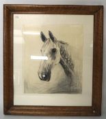 A charcoal drawing of a horse, signed lower right, in a bird's eye maple frame,