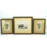 Three Sheila Cooper prints of animals, including a limited edition print of a white rhino no.