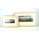 Two Contemporary gouache landscapes, signed ATH, titled Evening Sky Lands End, Daffodil Fields,