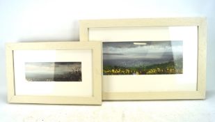 Two Contemporary gouache landscapes, signed ATH, titled Evening Sky Lands End, Daffodil Fields,