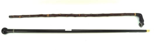 Two early 20th century walking canes, one with an ebony handle carved as a horse's hoof,