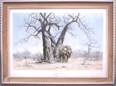 A limited edition David Shepherd print, 'Old George Under His Favourite Baobab Tree', no.