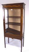 A late 19th/early 20th century mahogany glazed display cabinet,
