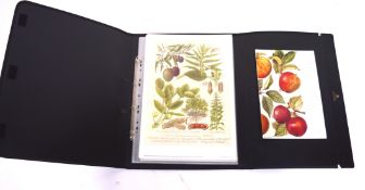 A collection of prints of the Barbara Nicholson Collection of Food Plants,