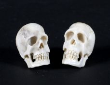 Two late 19th century carved ivory memento mori in the form of human skulls,