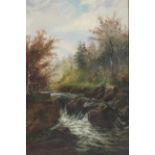 Early 20th Century School, Wooded River Landscape, oil on canvas,