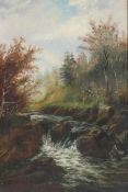 Early 20th Century School, Wooded River Landscape, oil on canvas,